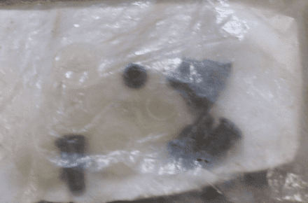 1963-1967 C2 Corvette,Window Track Rollers W/Rivets (bag of 6),New