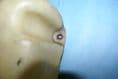 1970L-1974 Corvette C3 Windshield Wiper Reservoir GM 3961557, Used OK
