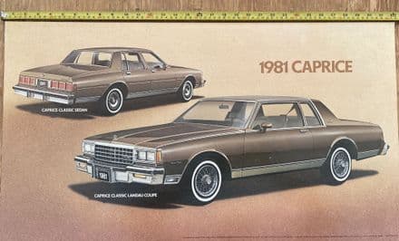 1981 Chevy Caprice Original Dealer Showroom BIG 18" X 32" Display Poster Board