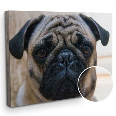 A3 Stretched Canvas Print | RRP £90