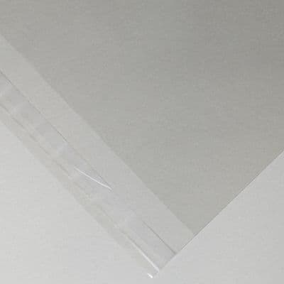 XL Clear Picture Mount Bags