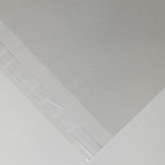 Clear Picture Mount Bags | Cellophane Sleeves