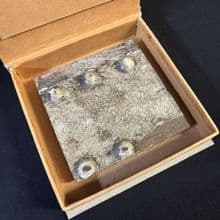 1997 Titanic Movie Hull Section