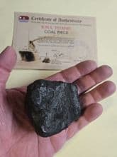 Coal from the wreck of the Titanic !