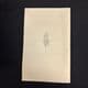 RMS MAJESTIC  A LA CARTE DINNER MENU FEBRUARY 16TH 1930