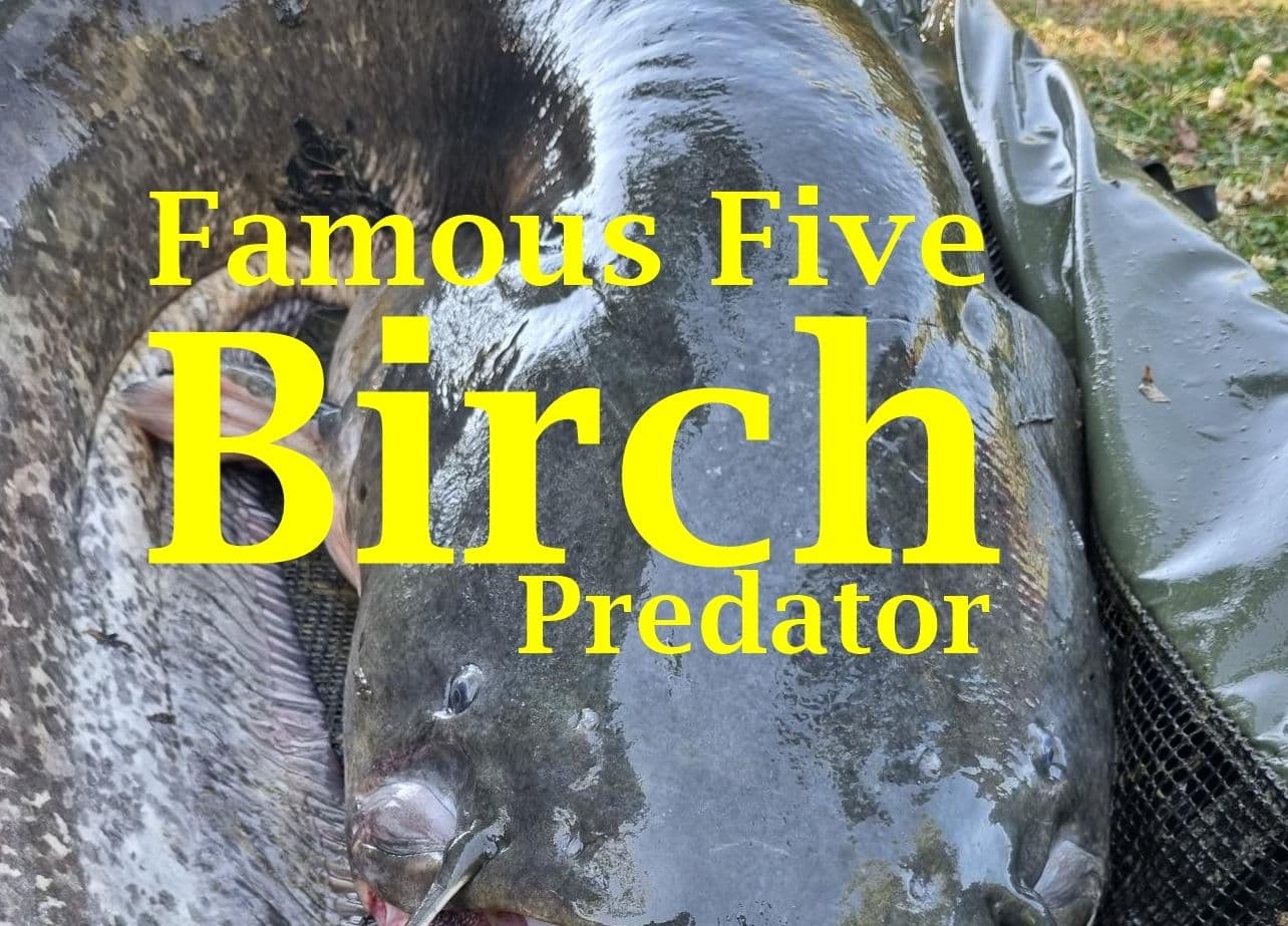 Birch Predator Lake