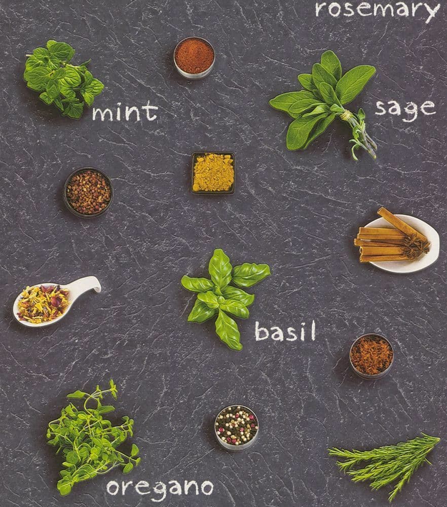 HERBS & SPICES KITCHEN TEXTURED FEATURE DESIGNER VINYL WALLPAPER RASCH