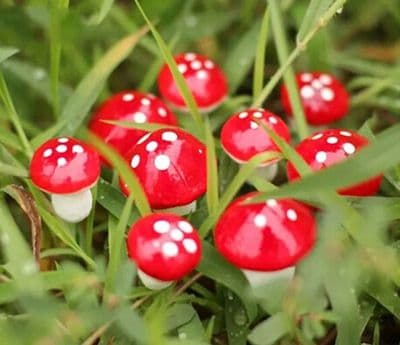 30pcs Artificial Mini Mushroom Miniatures Fairy Garden Decor