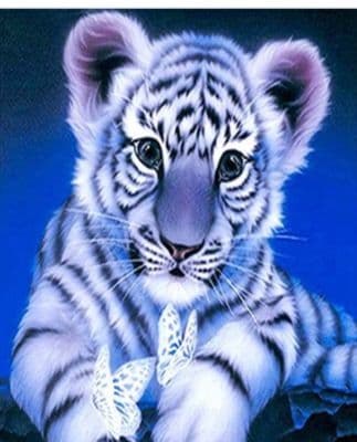 5D Full Drill Rhinestone Diamond