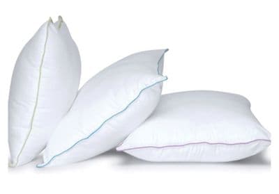 Anti Allergy Pillows x2