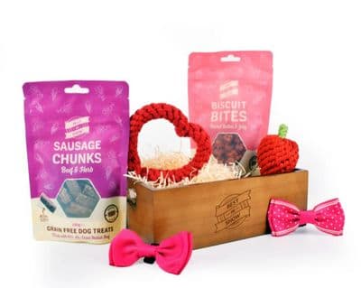 Best In Show - Puppy Love Toy Box