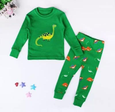 Boys Dinosaur Pyjamas Set