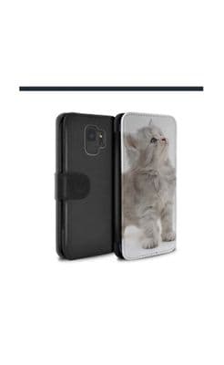 CUTE KITTENS / LOOKING UP