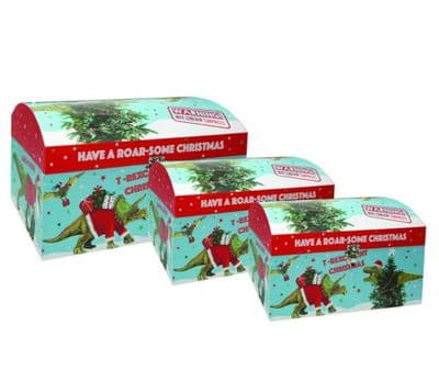 Dino Nested Gift Boxes (x3)