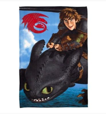 How To Train Your Dragon Fleece Blanket