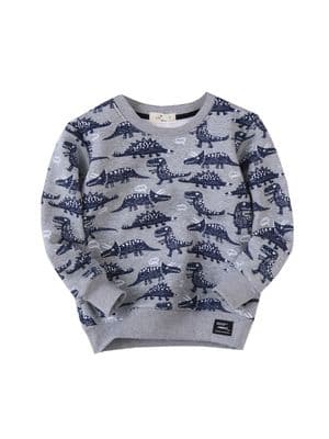 Kid Boy All Over Print Dinosaur Sweatshirt