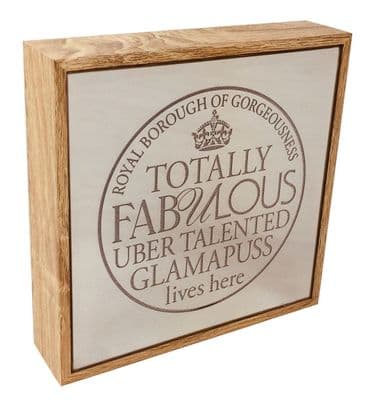 Mirror Light Up Frame Totally Fabulous 16cm