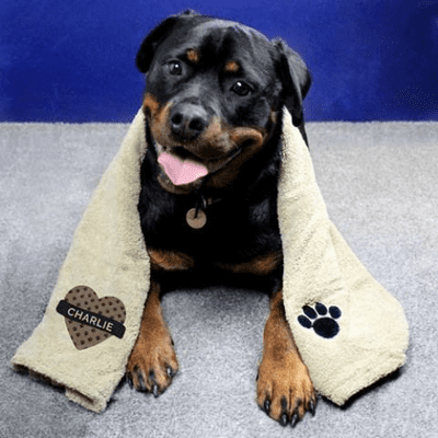 Personalised Microfiber Pet Towel