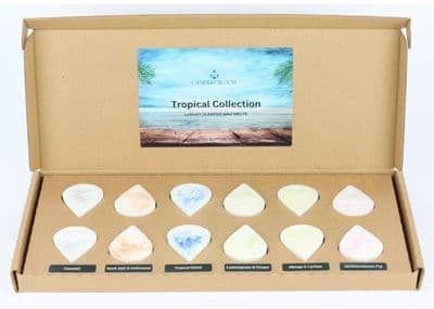 Tropical Collection Scented Wax Melts Gift Set