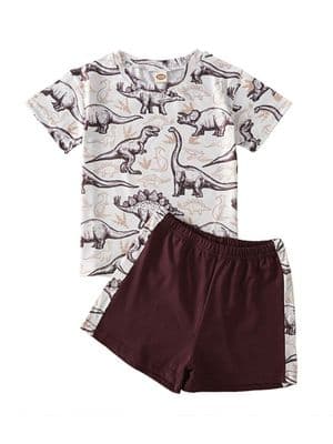 Two Pieces Big Kid Boy Dinosaur Pattern Set Top With Shorts