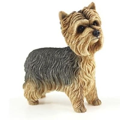 Yorkshire Terrier 10.3cm