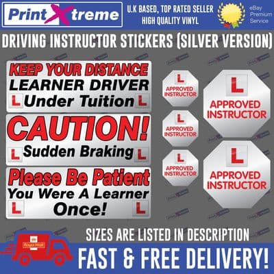 Driving instructor Learner Driver car stickers decals Sign DVSA ADI DSA SILVER
