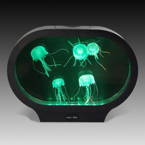 Jelly fish Tank DesktopOval Shaped