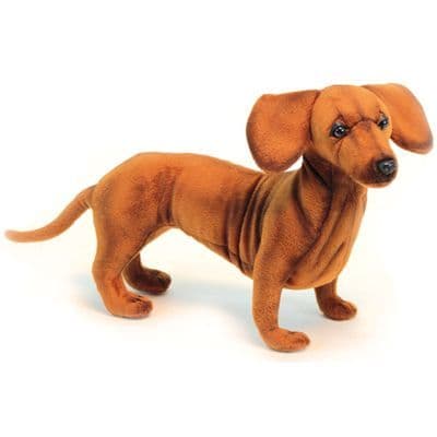 Life-like Dachshund