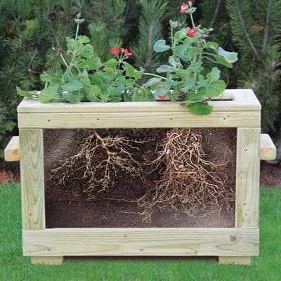 Watch Me Grow Planter