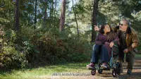 Days Escape Lite Transit Wheelchair