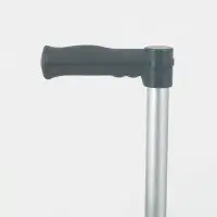 Days Standard Adjustable Walking Stick