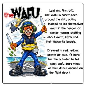 001- THE WAFU COASTER (3) (8)