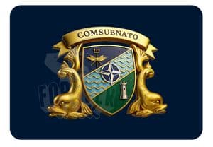 3D COMSUBNATO