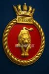 3D ships badge image (digital)