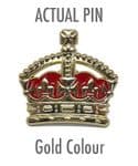 GOLD Coloured KINGS PIN