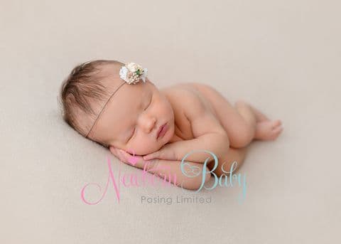 Fine Stretch Backdrops/Beanbag Overlay & Wrap ~ Beige