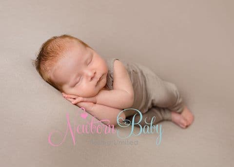 Fine Stretch Backdrops/Beanbag Overlay & Wrap ~ Taupe