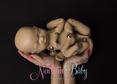 Fine Stretch Backdrops/Beanbag Overlays & Wrap ~ Black