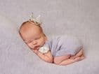 Posing Cushions  | Newborn Baby Posing Limited