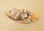 Newborn Photography Workshop ~ SEPT 28th 2025
