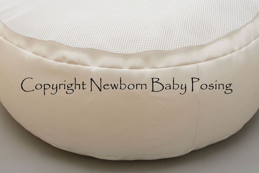 Buy Newborn Posing Beanbag Newborn Baby Posing Limited