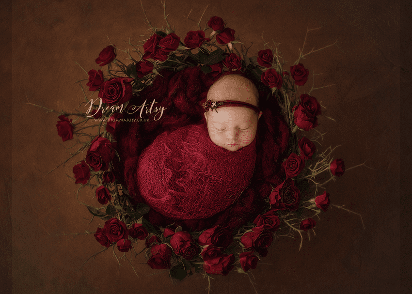Lacey Wrap/Stuffer | Newborn Baby Posing Limited