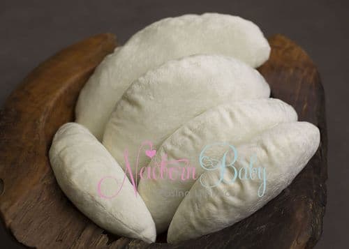 Posing Cushions & Wedge
