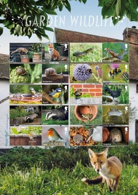 Garden Wildlife