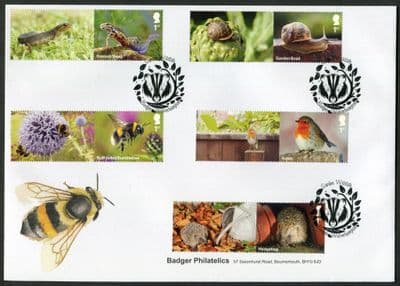 Garden Wildlife, CS, Badger, Wolverhampton