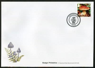 Mushrooms, S, Mushroom Road, Exeter