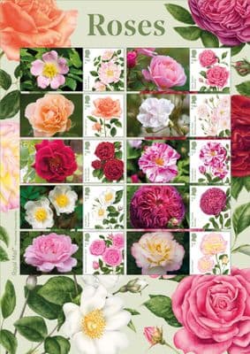 Roses (2026)