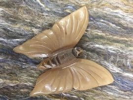 Carved Horn Butterfly Brooch - French Butterfly Pin -1930s -1940s