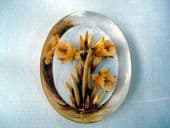 Daffodils - Reverse Carved Lucite Brooch 1940's - 1950's Era (SOLD)