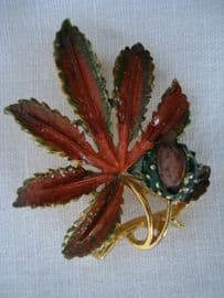 Horse Chestnut Brooch signed 'Exquisite' - 1960's - Small Size(sold)